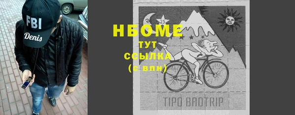 шишки Няндома