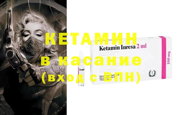 шишки Няндома