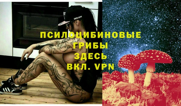 ALPHA-PVP Осташков