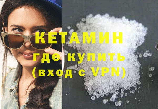 шишки Няндома
