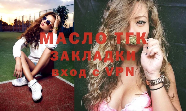 шишки Няндома