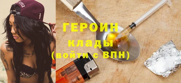 шишки Няндома
