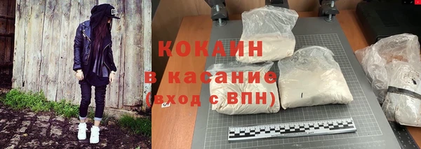 шишки Няндома