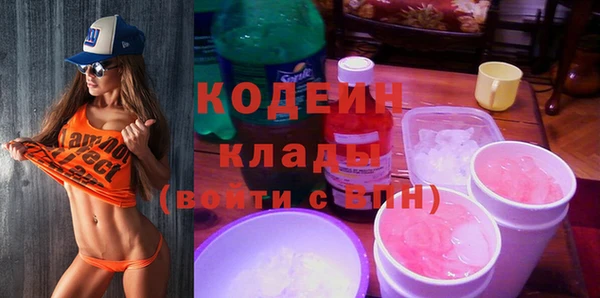 шишки Няндома
