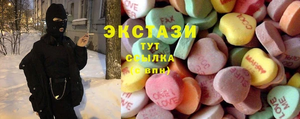 шишки Няндома